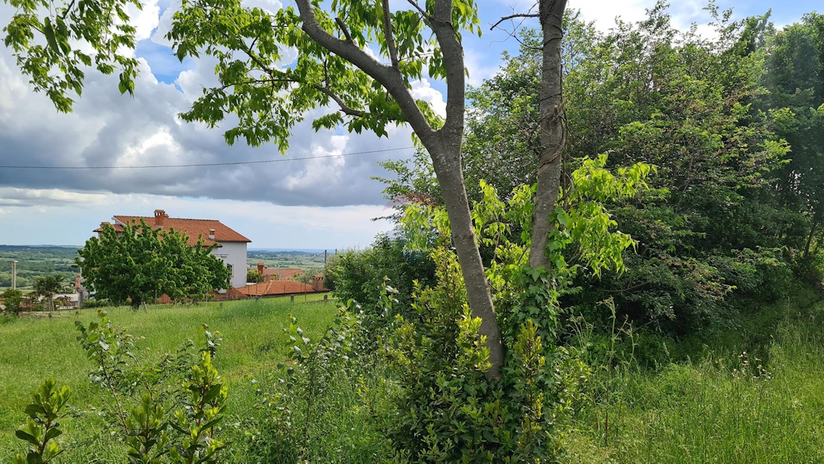 KAŠTELIR
