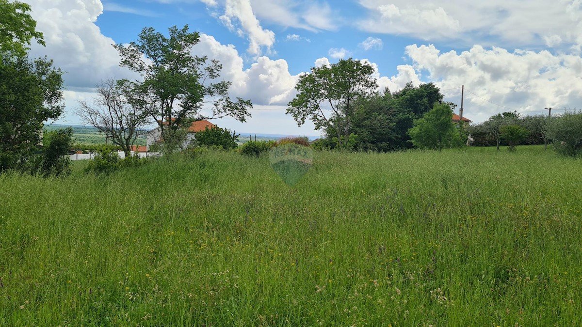 KAŠTELIR