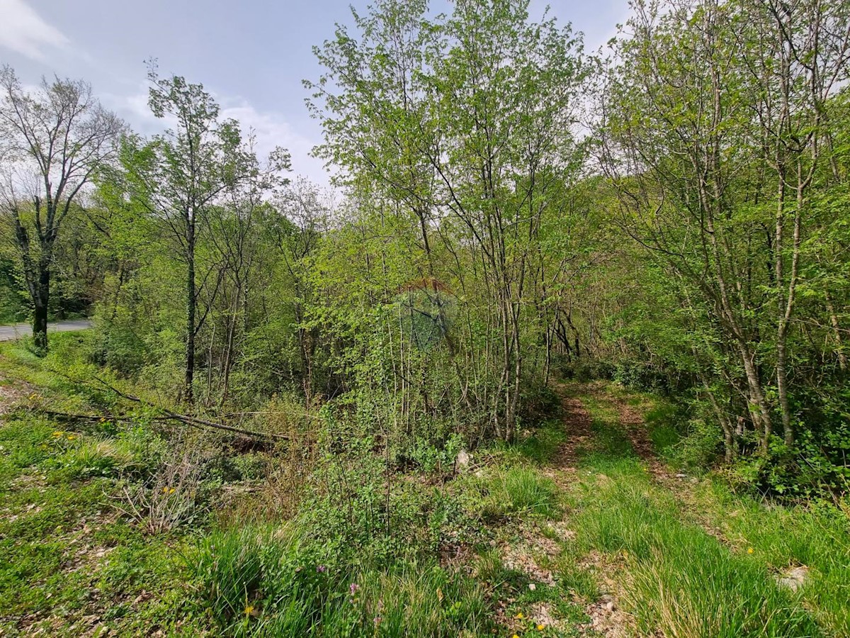 VEPRINAC