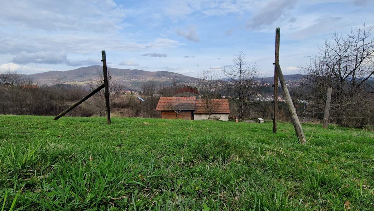 VUJNOVIĆI