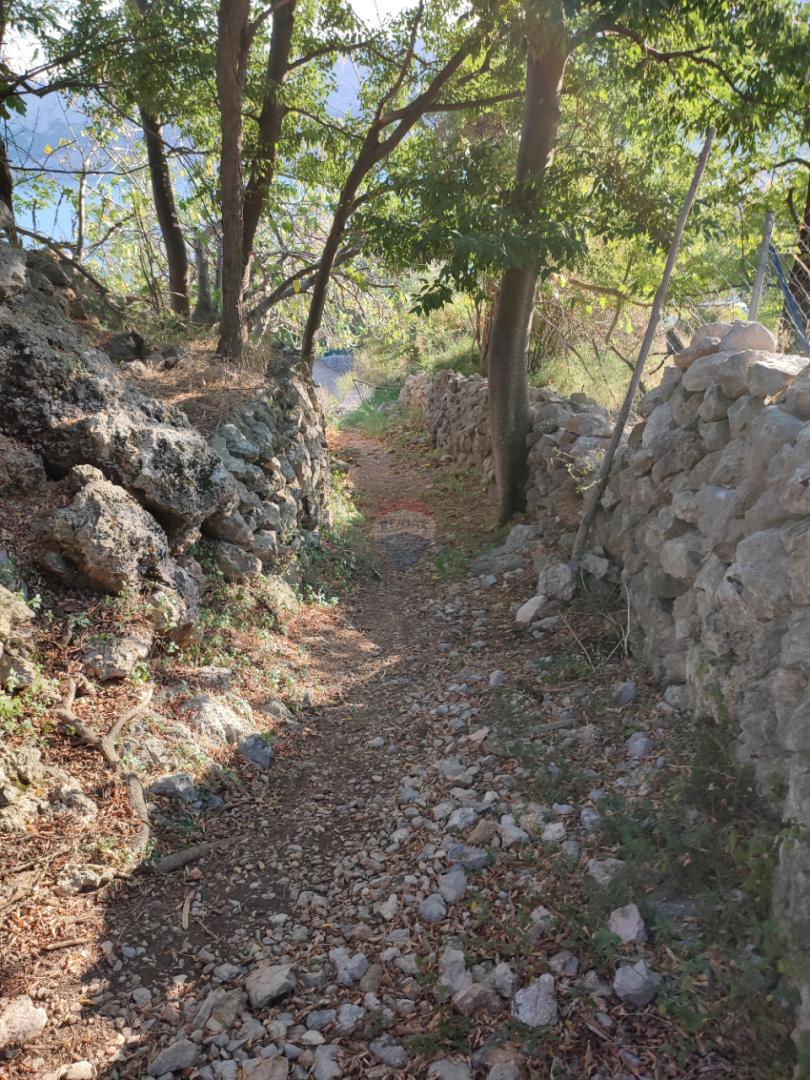 BAŠKA