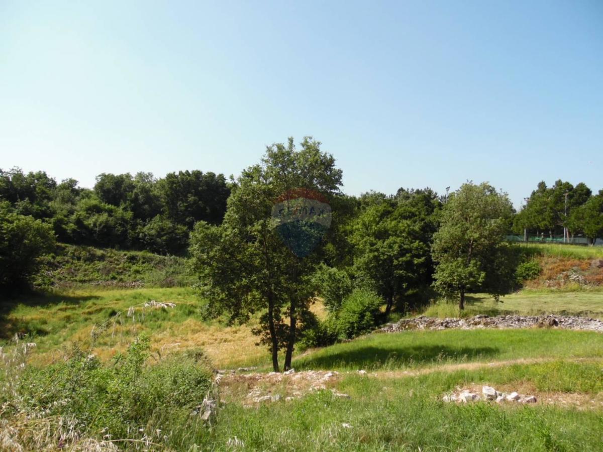 MARIĆI