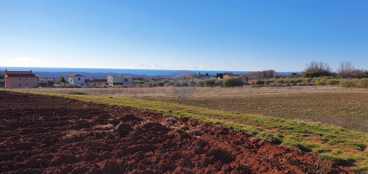 KAŠTELIR