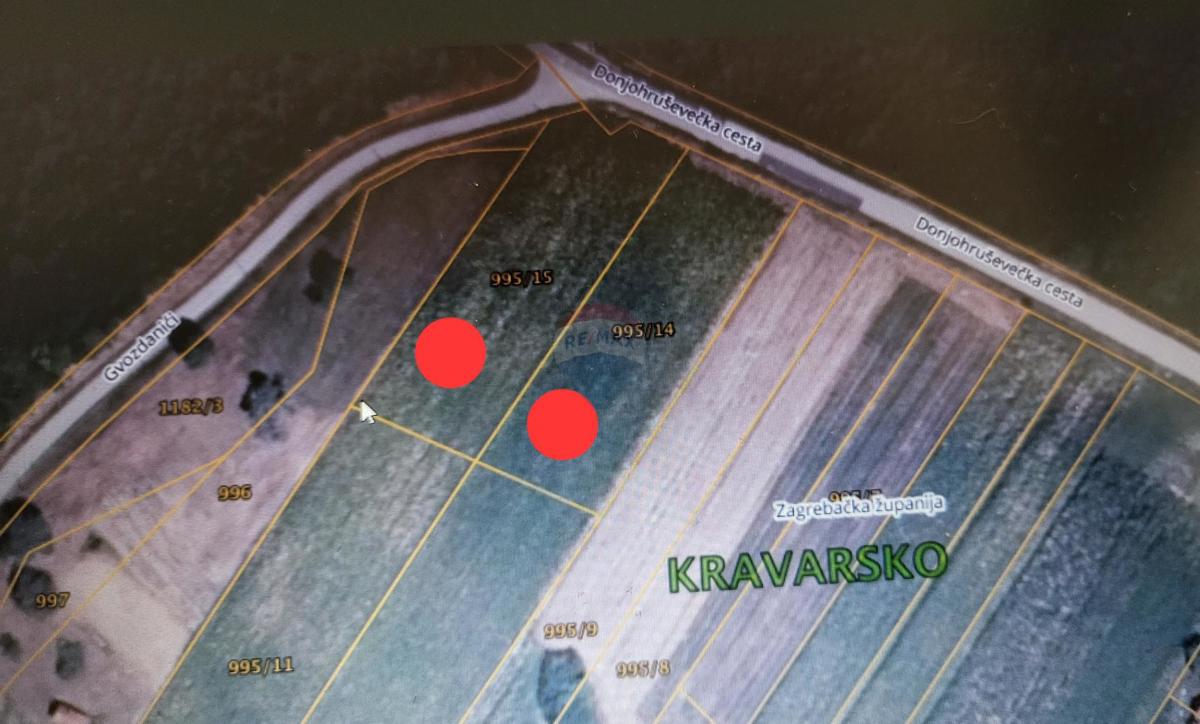 GLADOVEC KRAVARSKI
