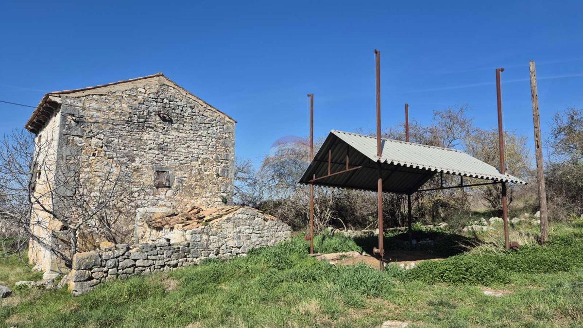 VRSAR