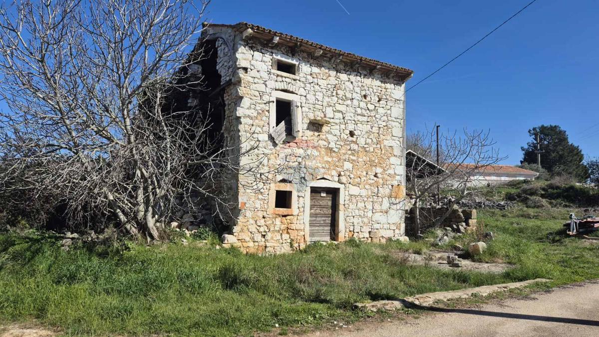 VRSAR