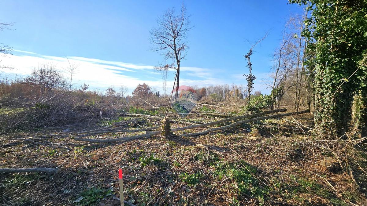 Terreno UMAG, 320.000 €