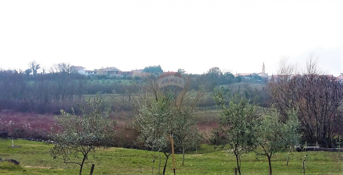 BRTONIGLA