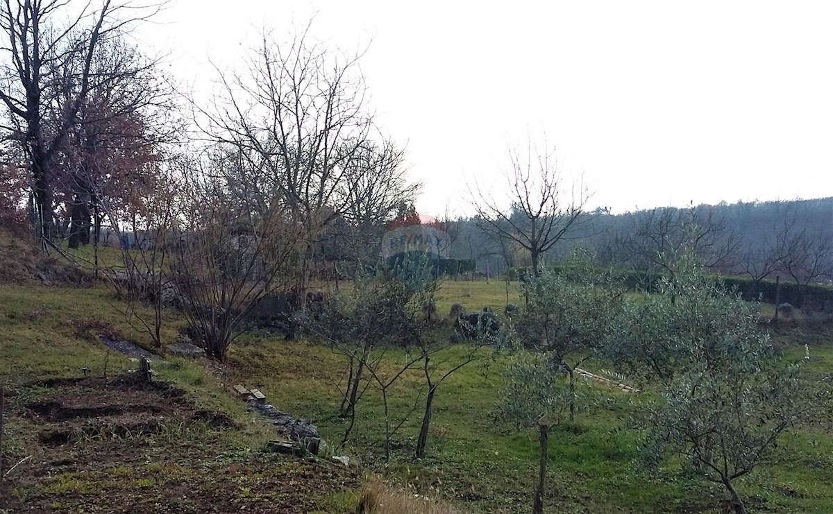 BRTONIGLA