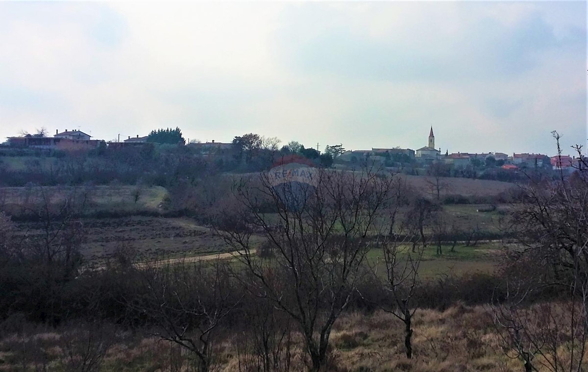 BRTONIGLA