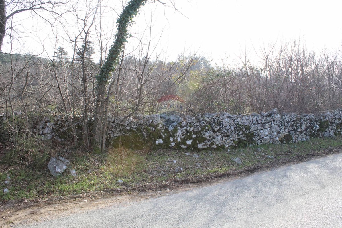 GROBNIK