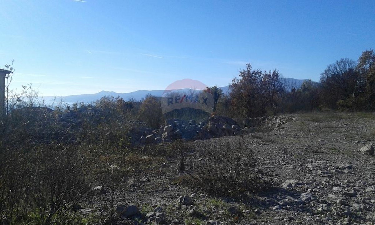 ZAMET