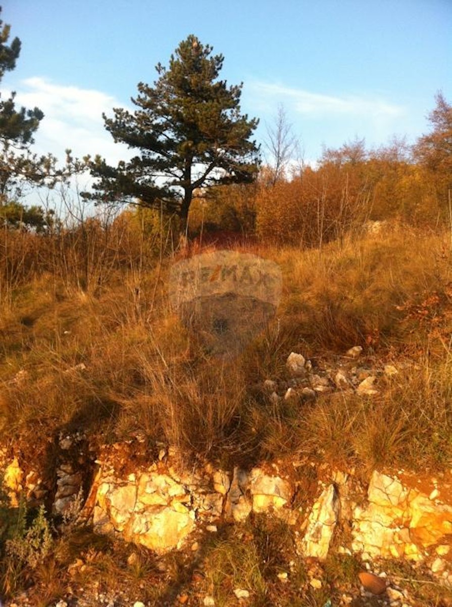 CERNIK