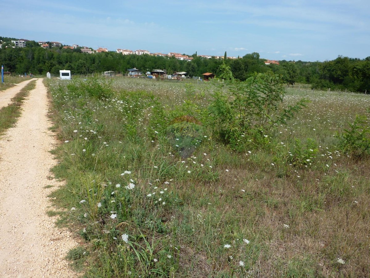 VRVARI