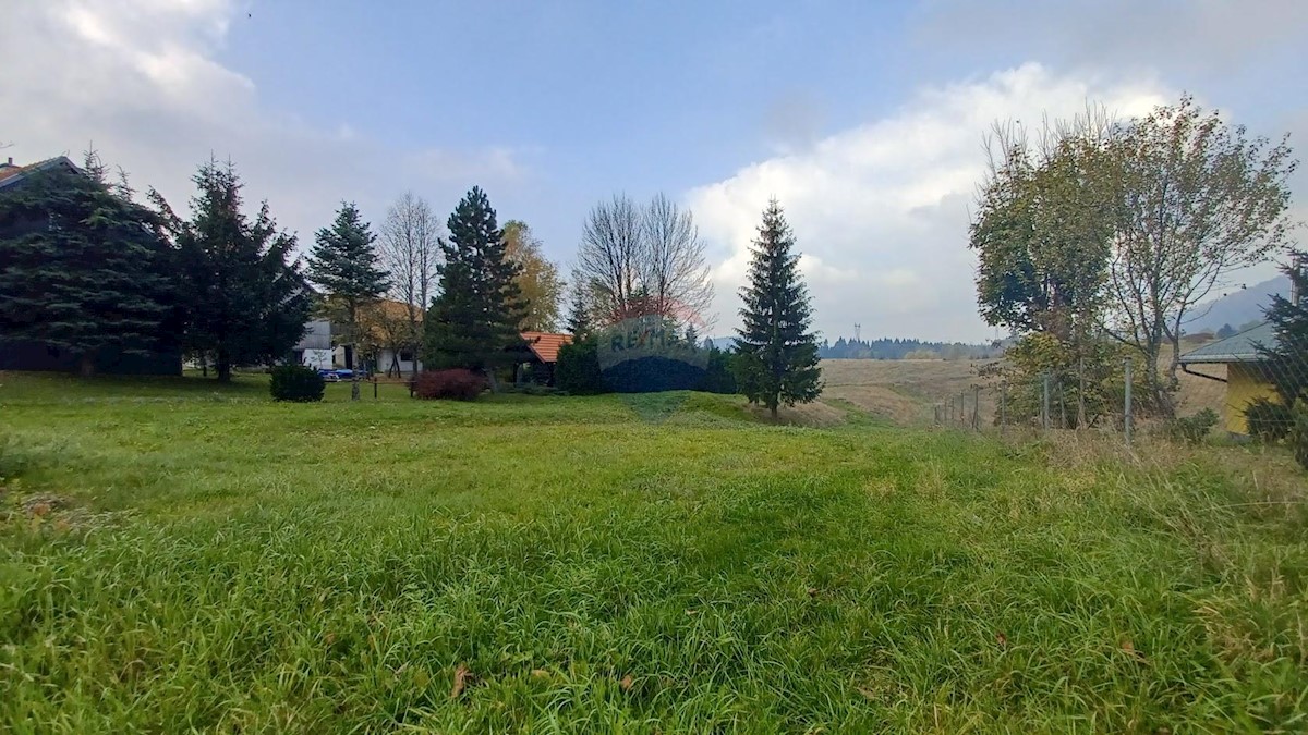 STARA SUŠICA