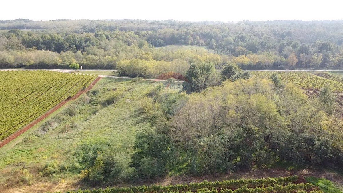 VIŽINADA