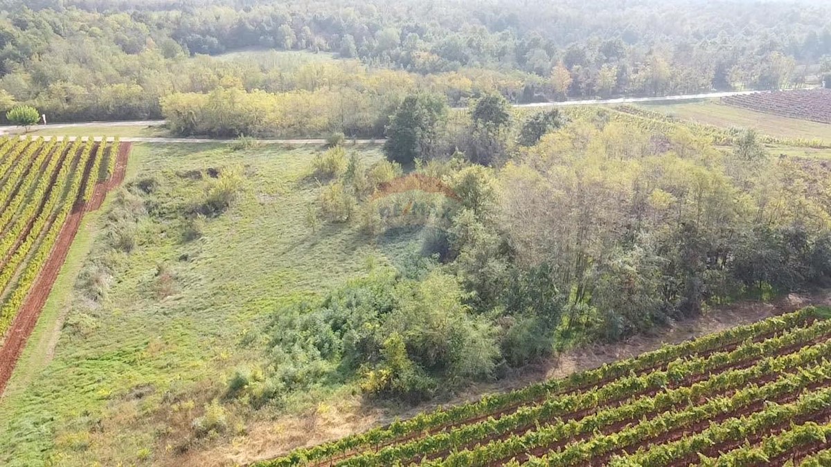 VIŽINADA