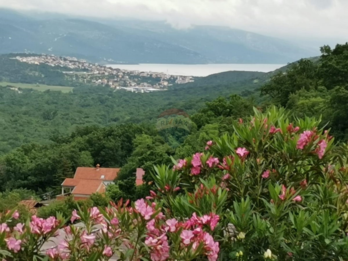 BRIBIR