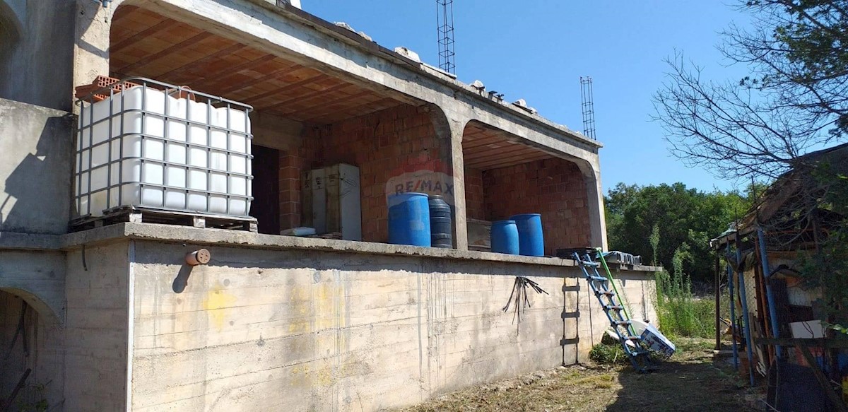 PINEZIĆI