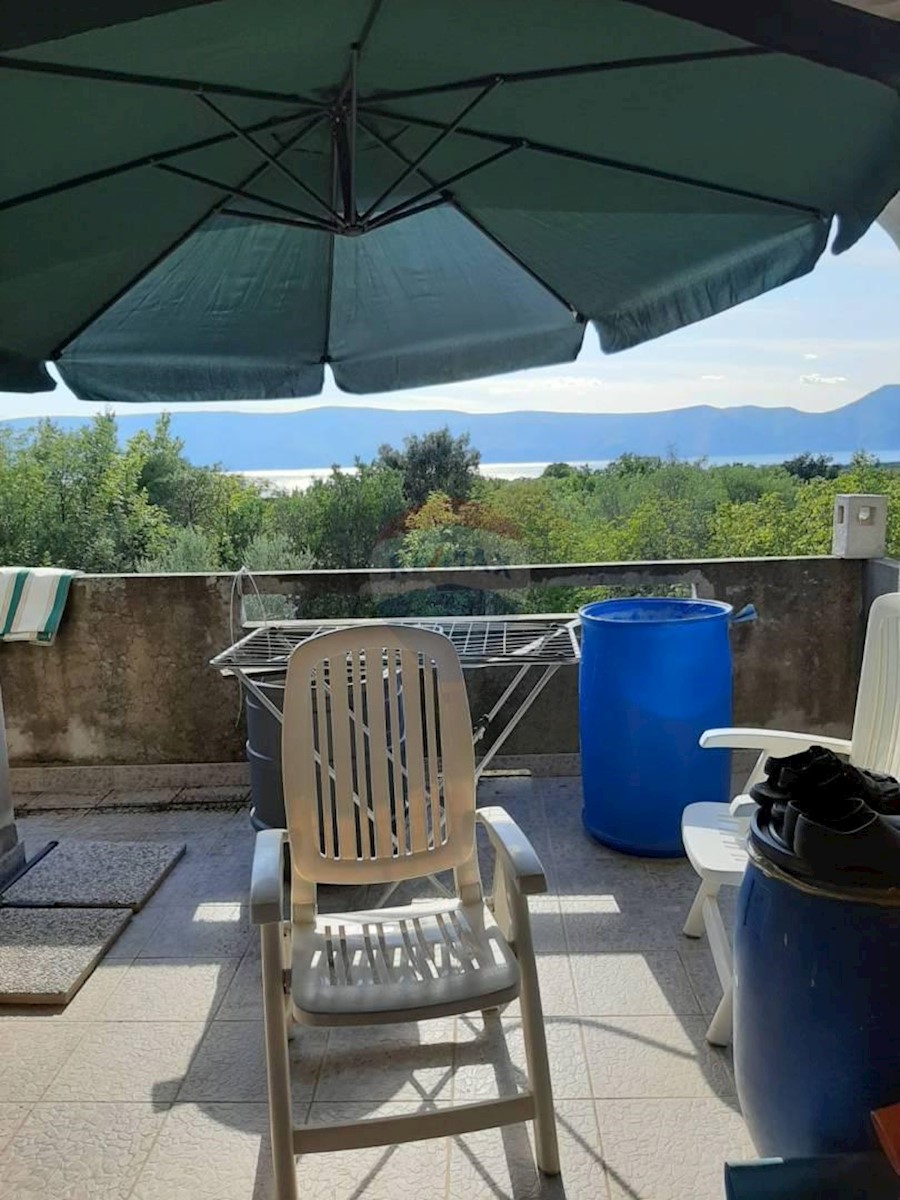 PINEZIĆI