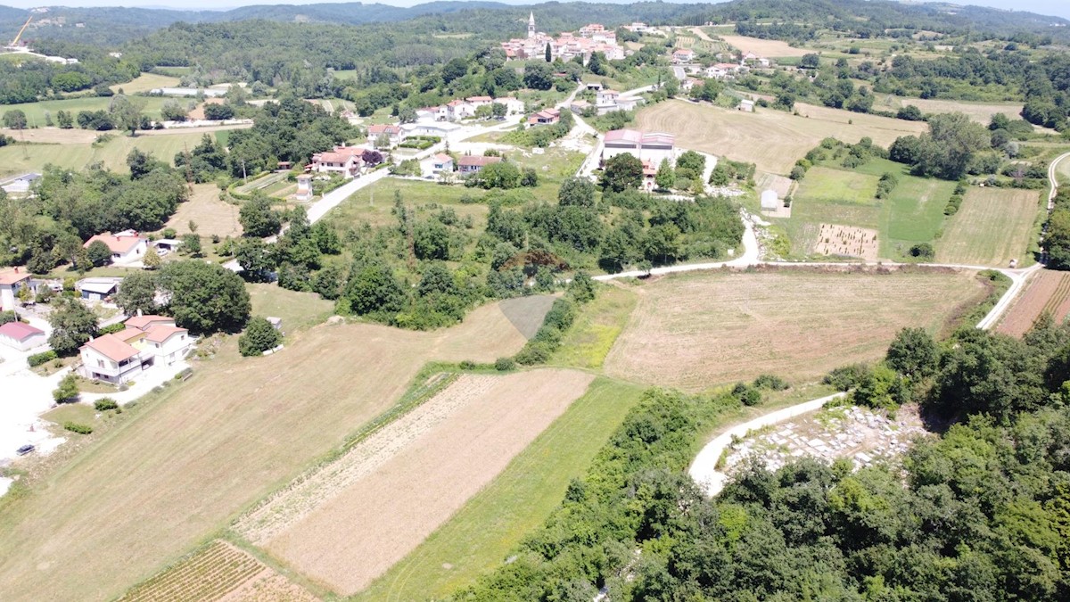 TRVIŽ