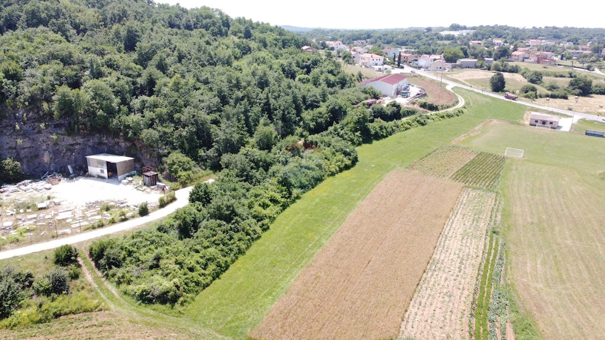 TRVIŽ