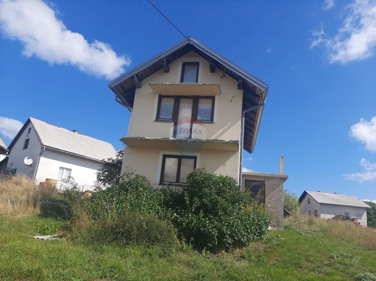 UDBINA