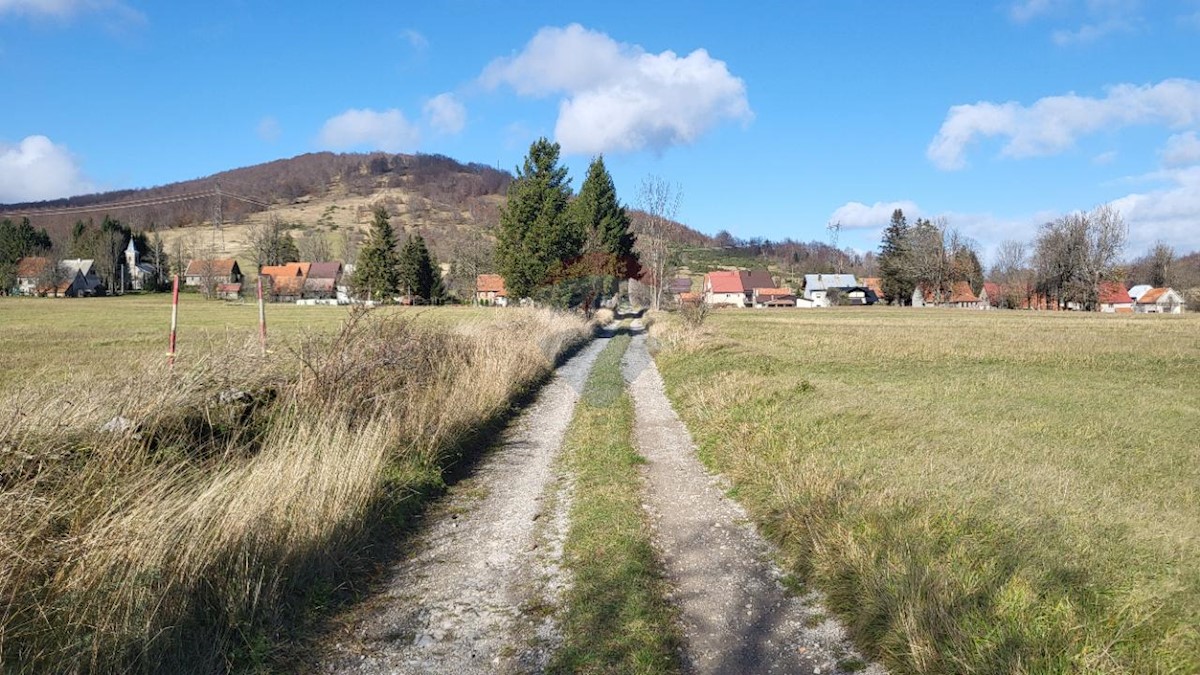 STARI LAZ