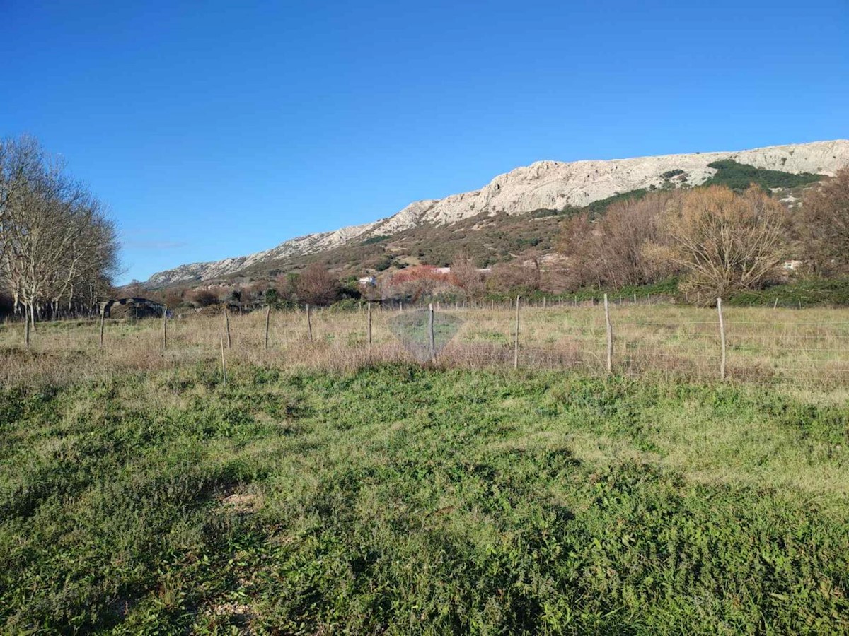 BAŠKA