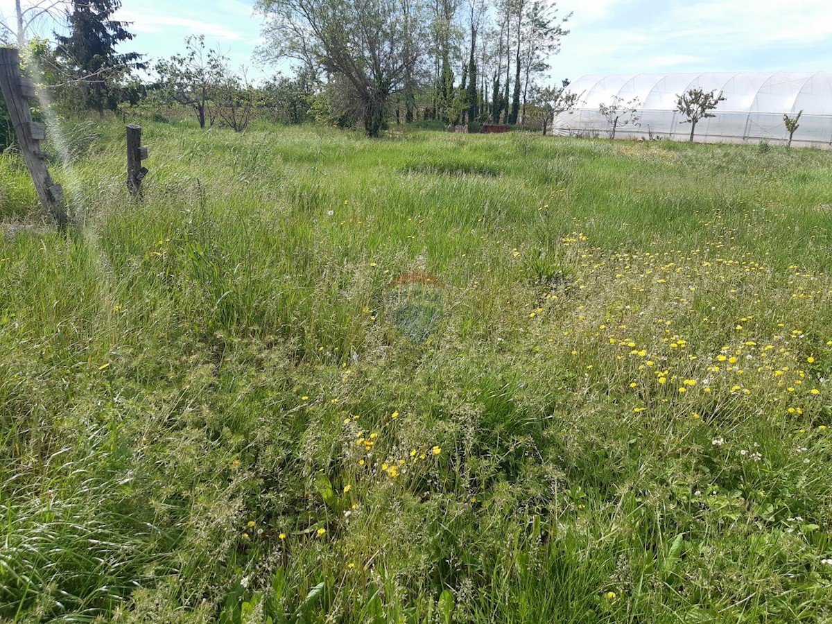 LABINCI