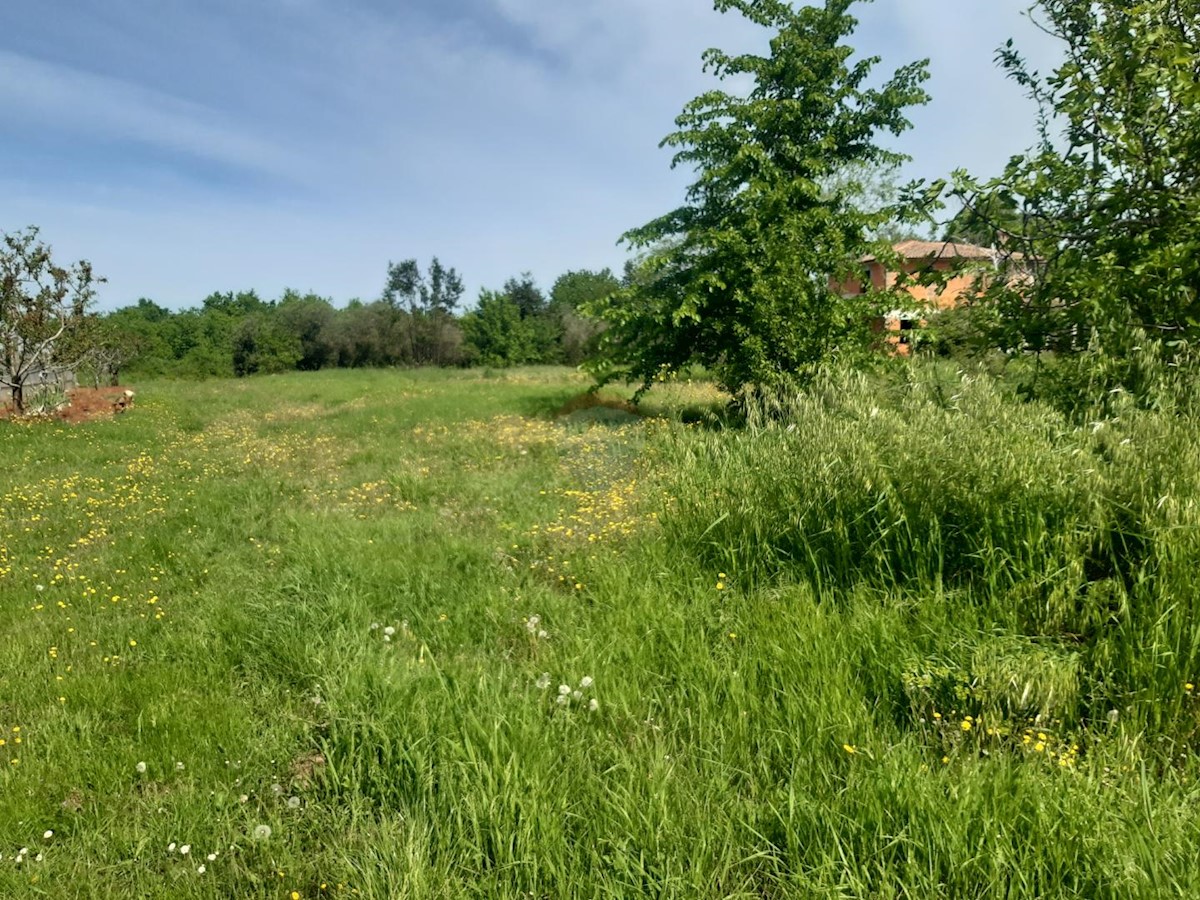 LABINCI