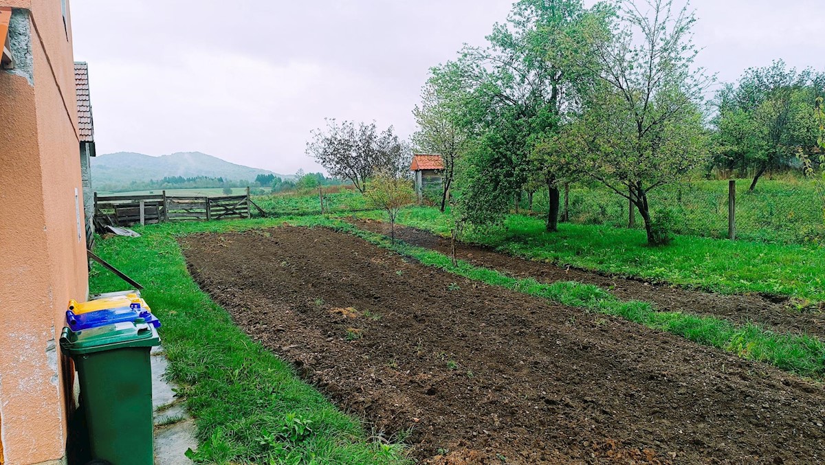 POTHUM PLAŠČANSKI