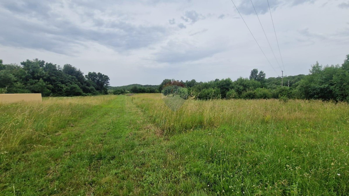 GRADINA
