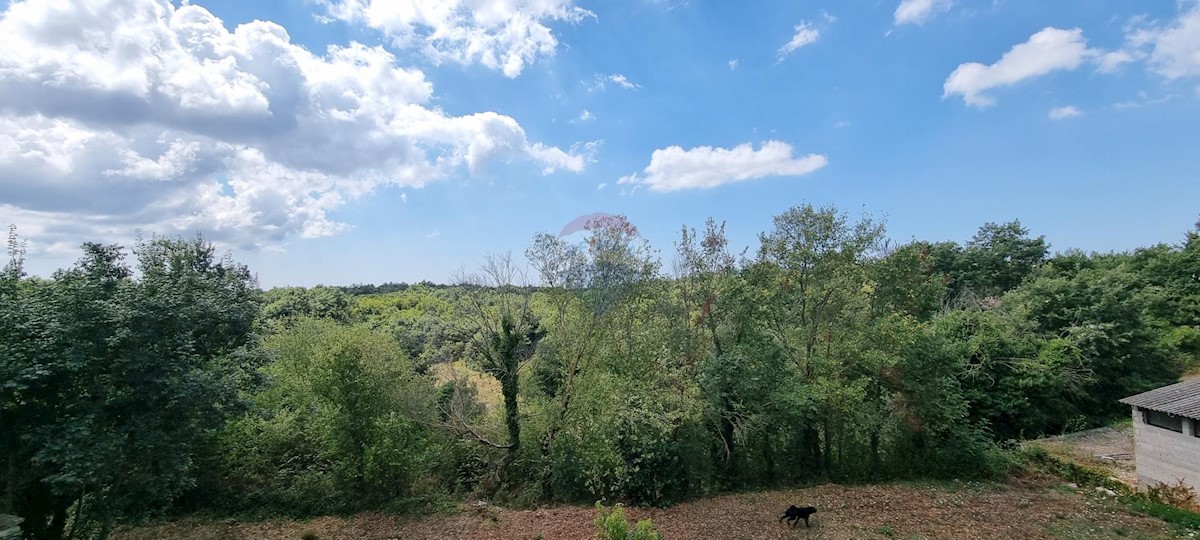 ŠARIĆI