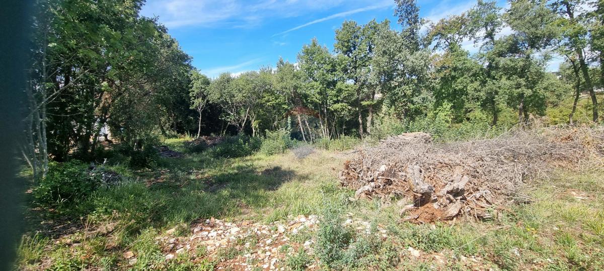 KRNICA