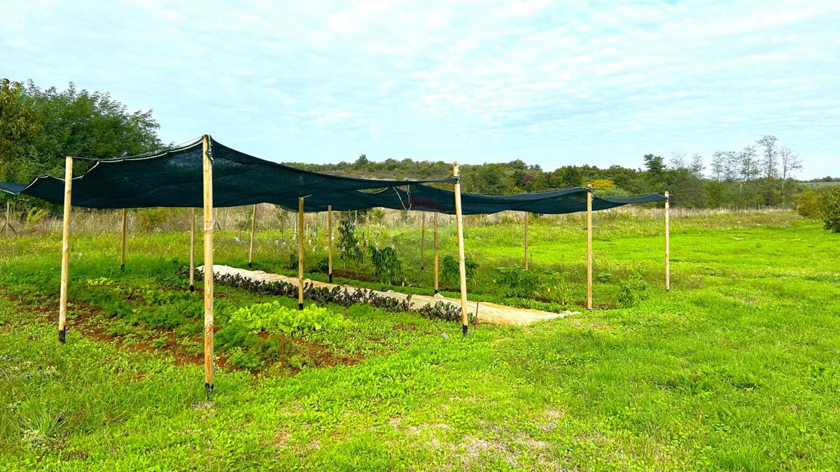 MATERADA