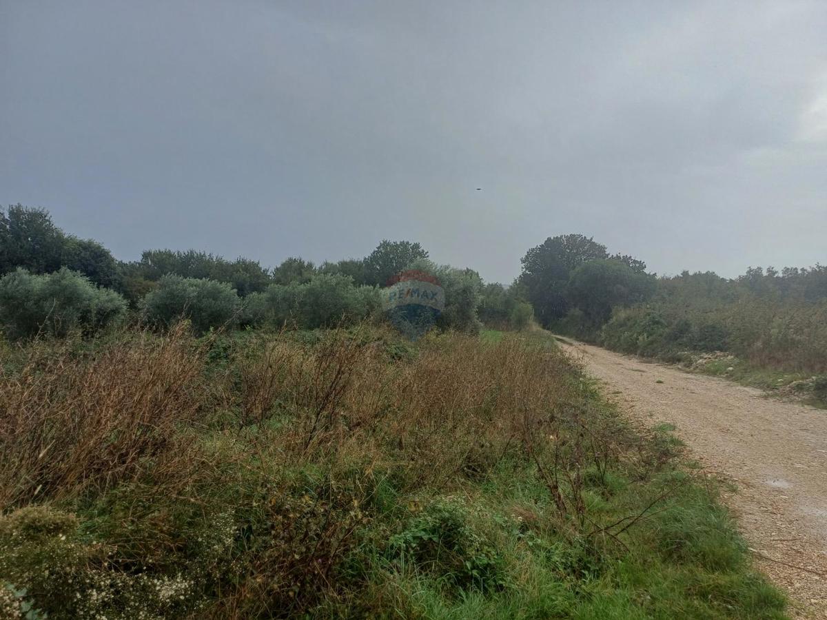 LIŽNJAN