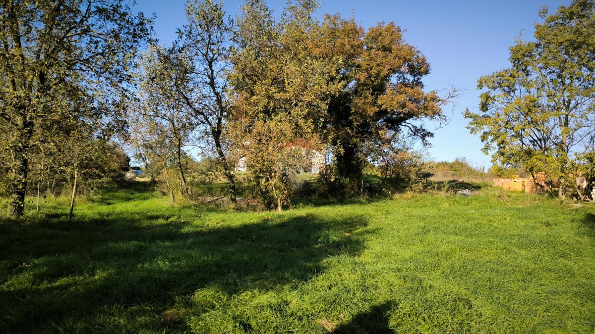 MARČANA