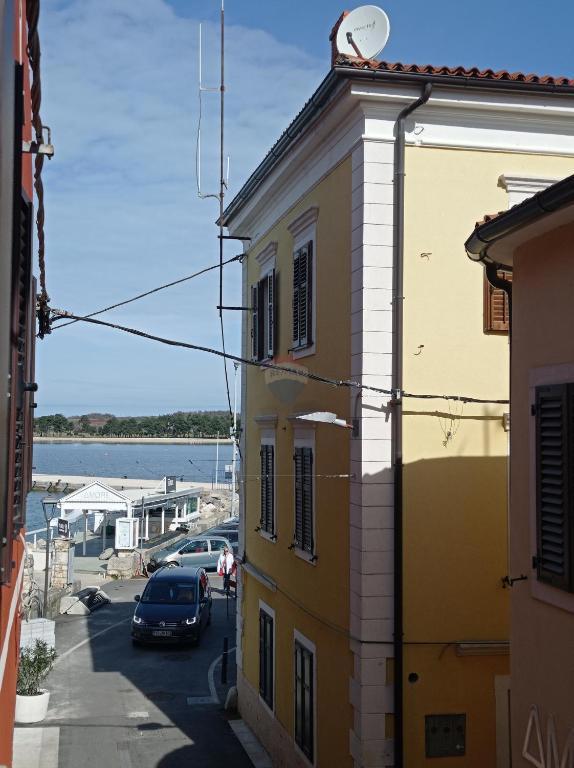 NOVIGRAD
