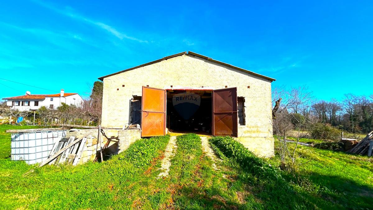 BABIĆI