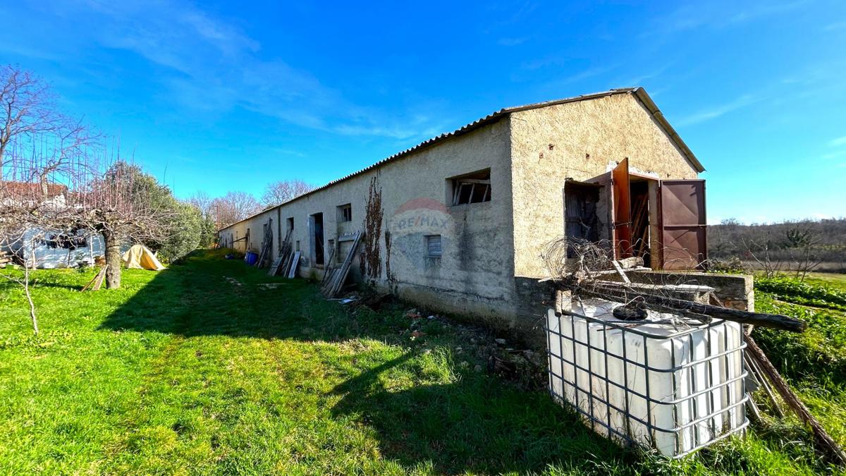 BABIĆI