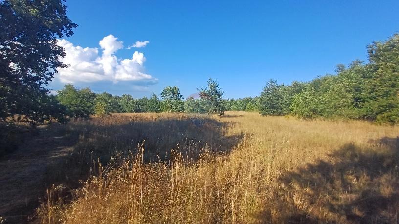 KRNICA