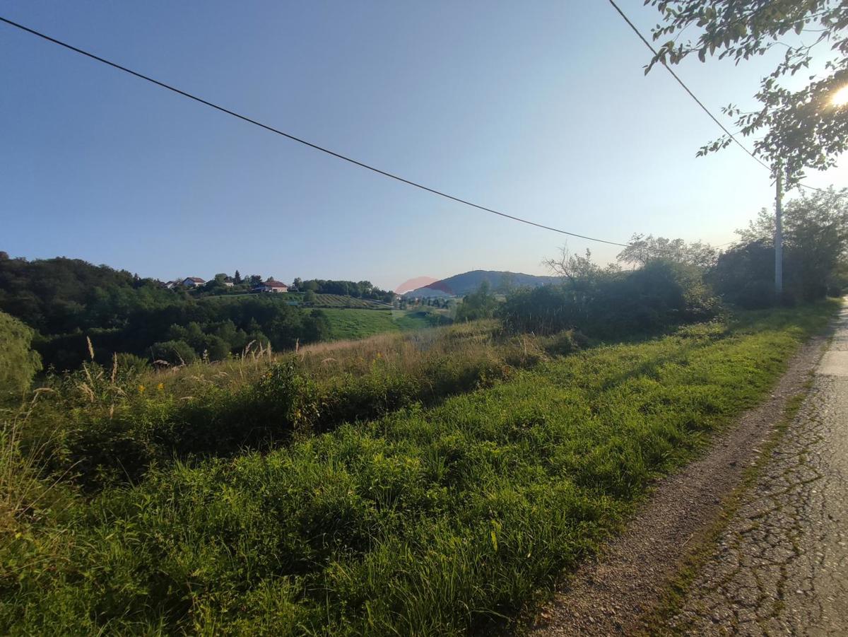 CEROVAC VUKMANIĆKI