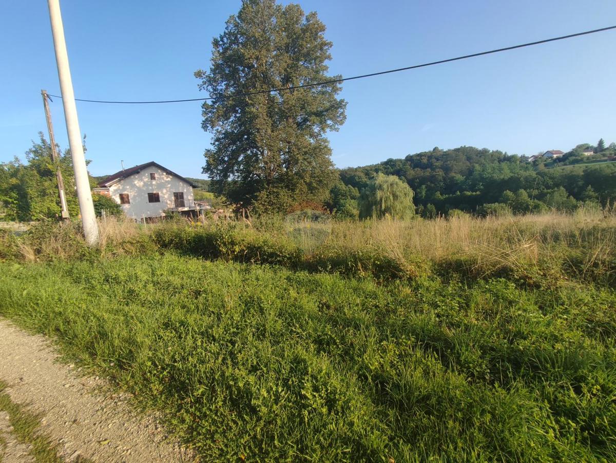 CEROVAC VUKMANIĆKI