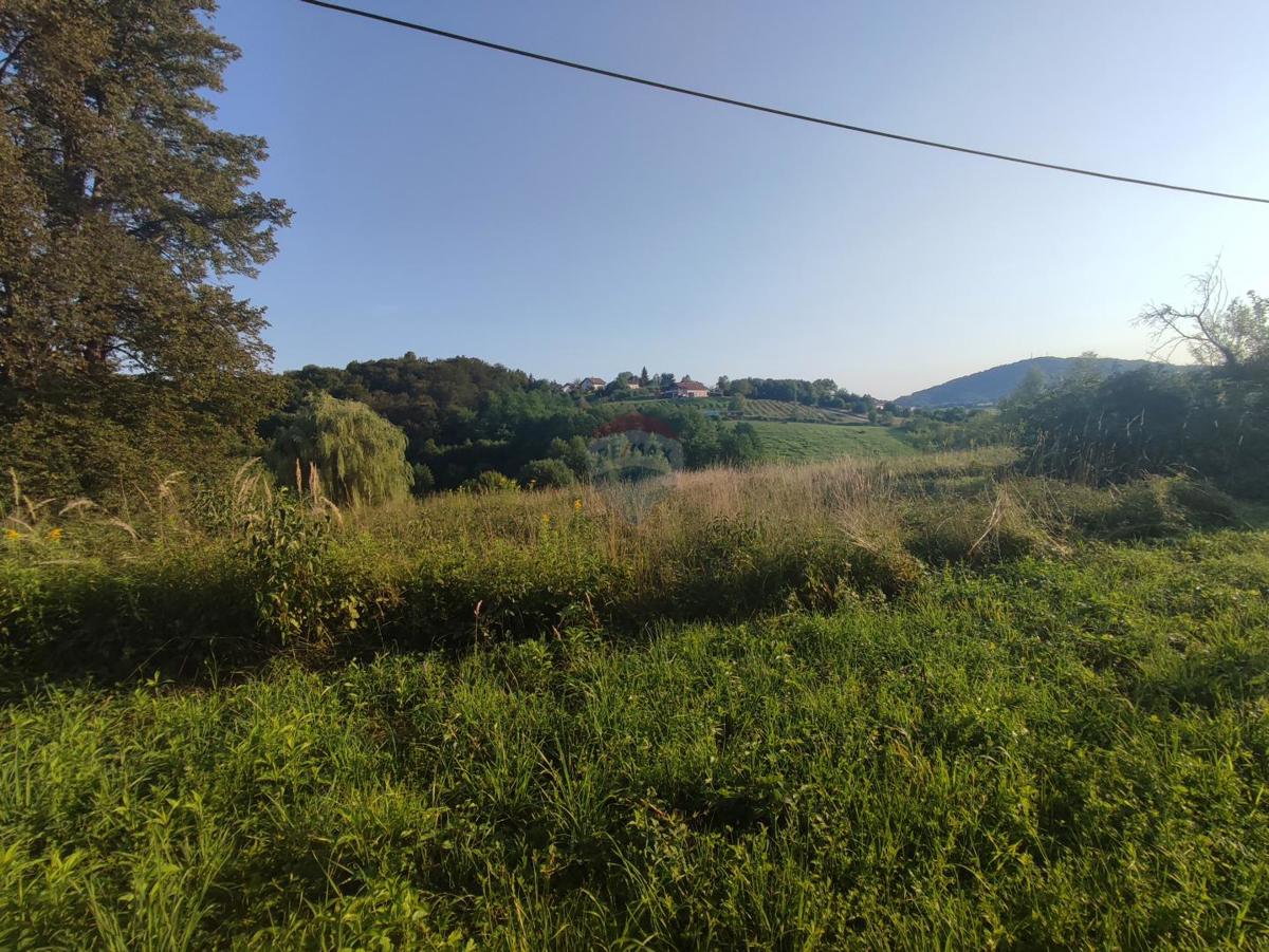CEROVAC VUKMANIĆKI
