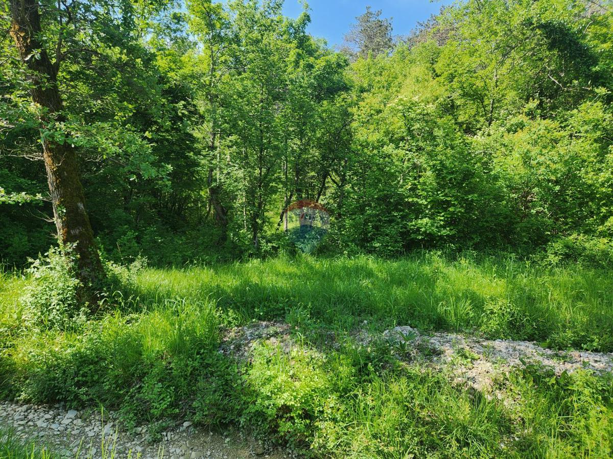 image 14