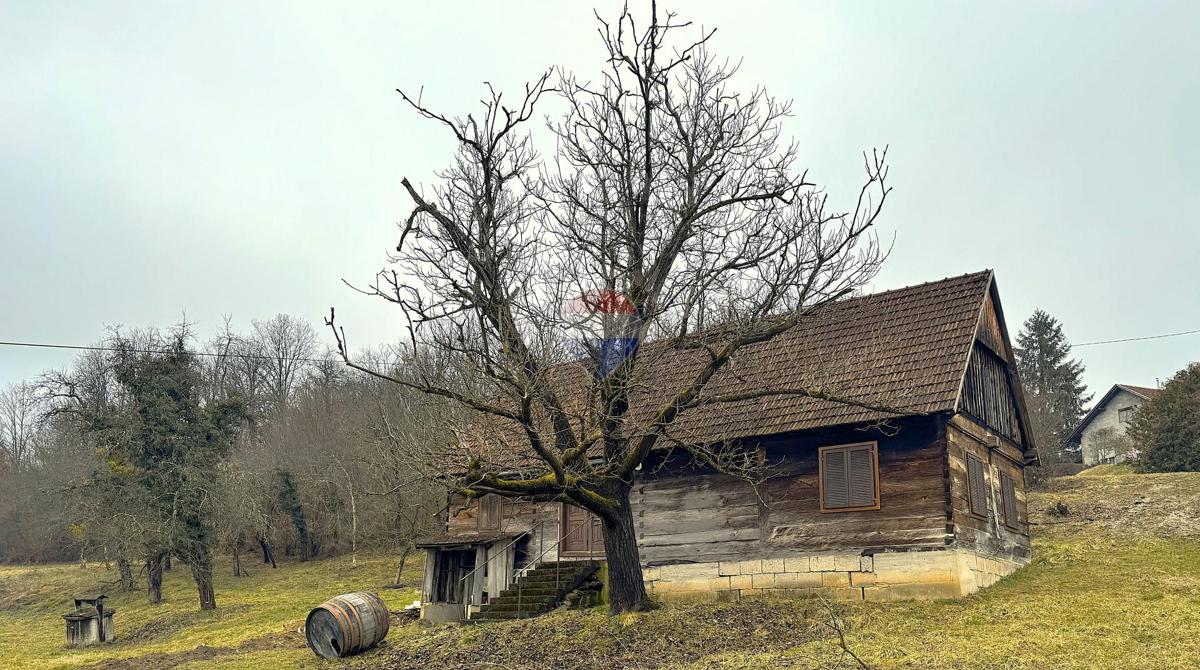 image 14