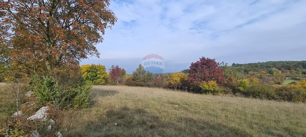 GROŽNJAN