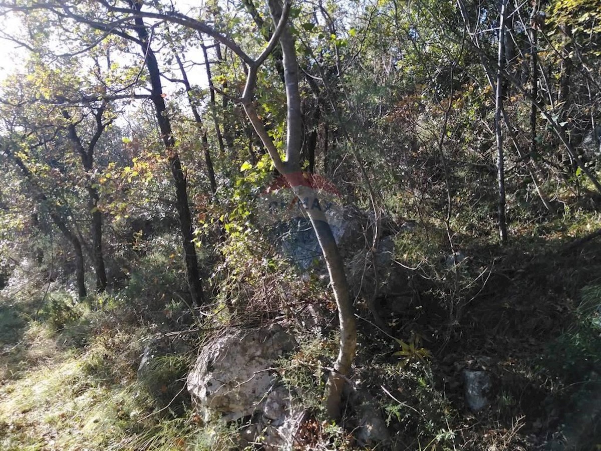MOŠĆENIČKA DRAGA