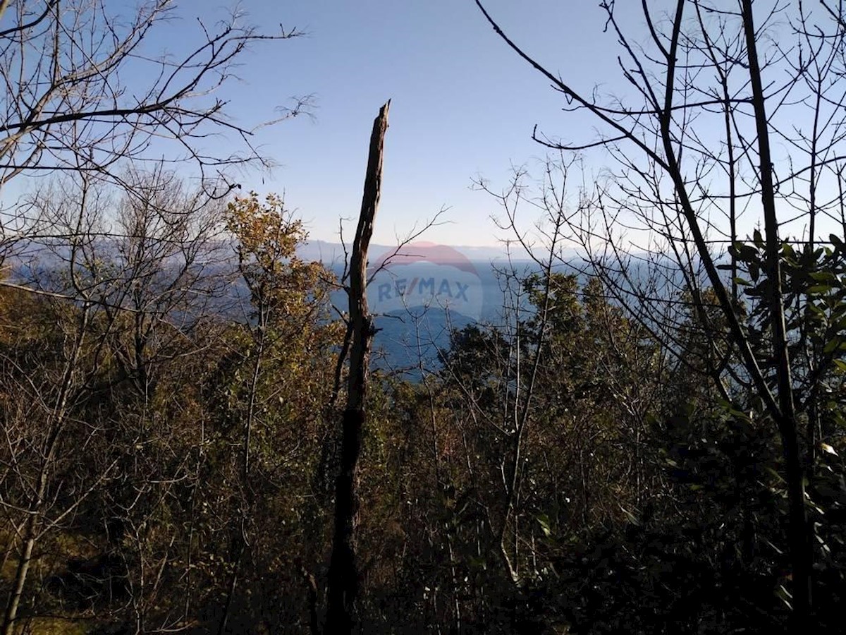 MOŠĆENIČKA DRAGA